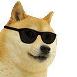 狗头