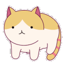 猫咪
