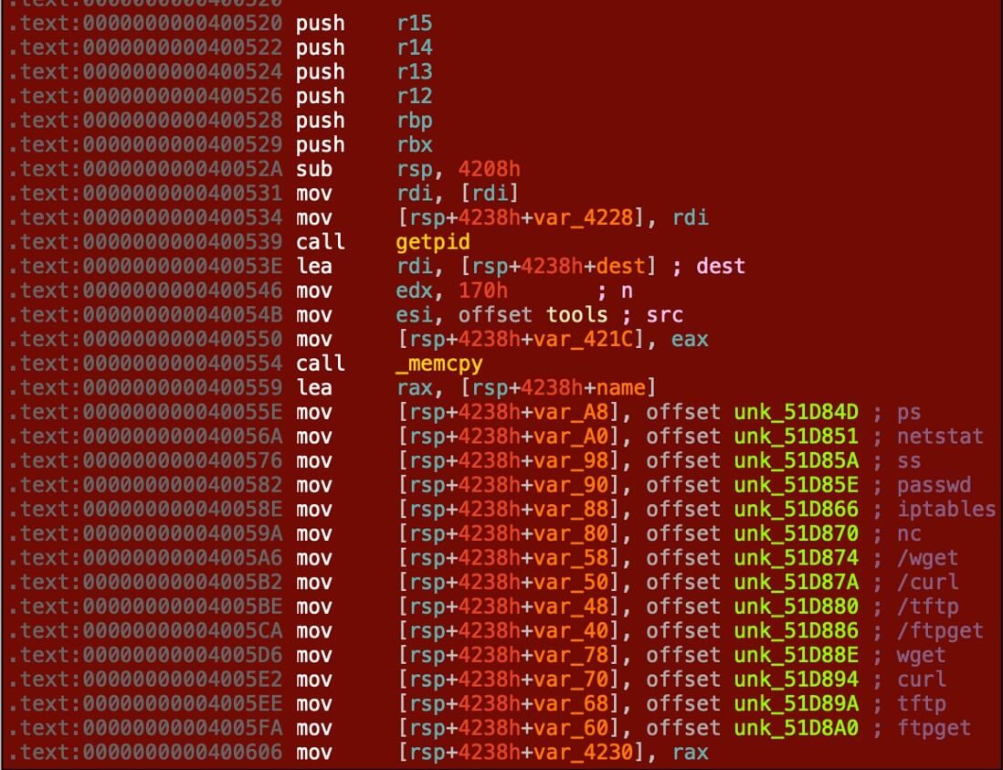 Figure 10: Checking the victim host's environment