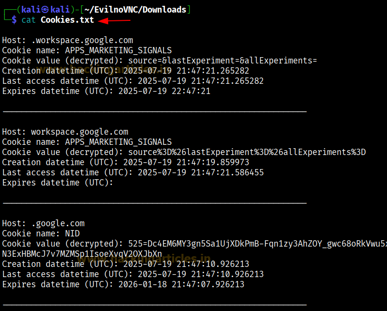 Evil noVNC Phishing Simulation