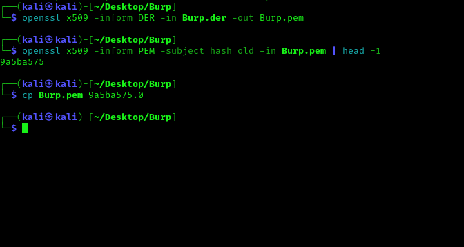 Code for kali Linux