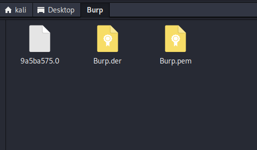 Burp.pem